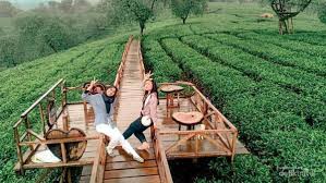 Melihat Wisata Kebun